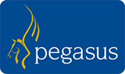 [Pegasus Software Ltd]